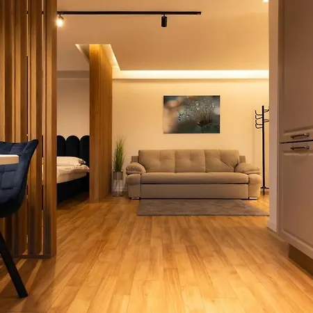 Lägenhet Nest Amber Cluj-Napoca